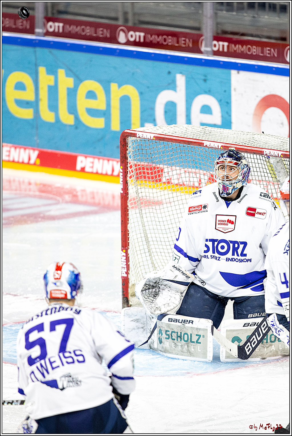 PENNY DEL;  Koelner Haie - Schwenninger Wild Wings; Koeln, 21.03.2021